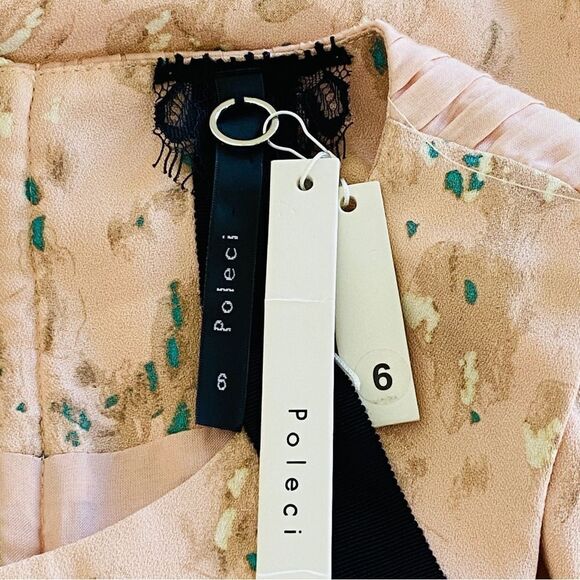 Poleci Blush Pink 100% Silk Sleeveless Sheath Dress Sz 6 NWT - Picture 10 of 14